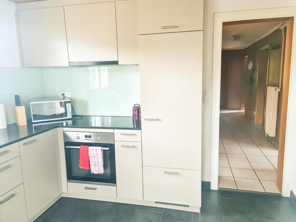 Abendberg Apartment - Aare Jungfrau Ag Wilderswil Zewnętrze zdjęcie