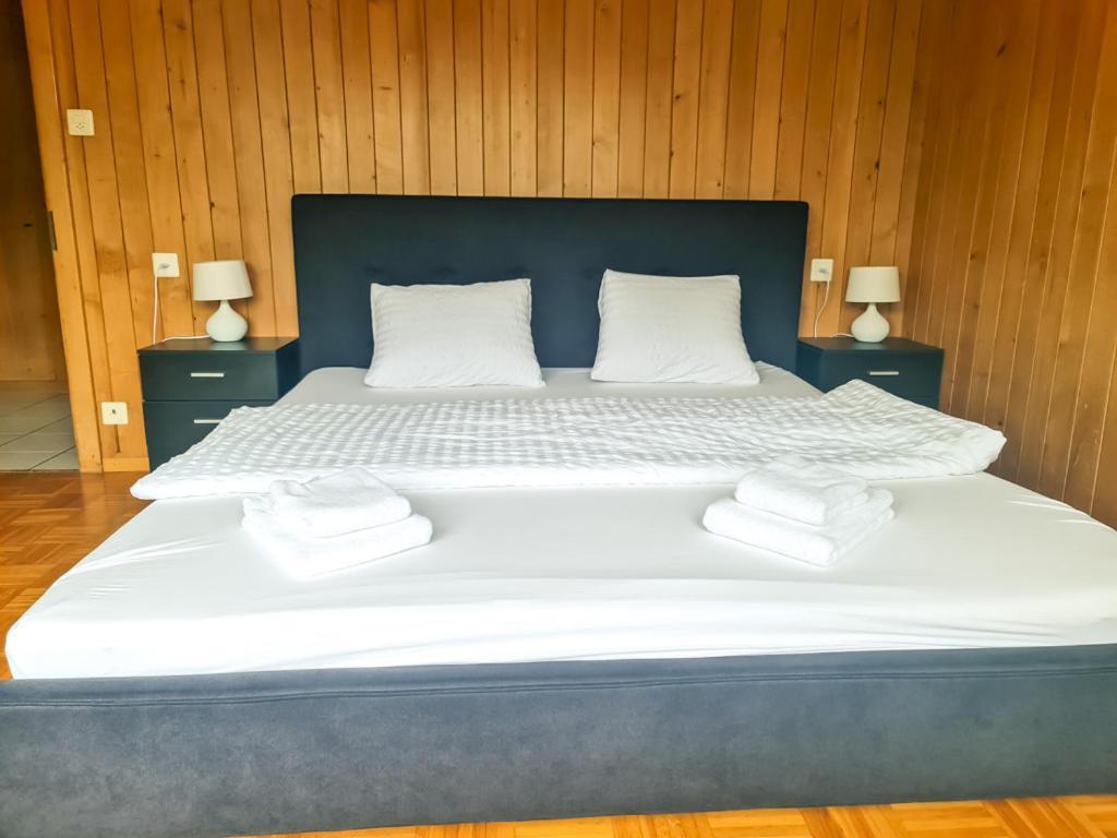 Abendberg Apartment - Aare Jungfrau Ag Wilderswil Zewnętrze zdjęcie