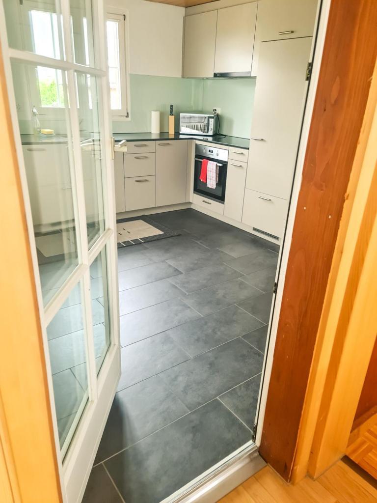 Abendberg Apartment - Aare Jungfrau Ag Wilderswil Zewnętrze zdjęcie