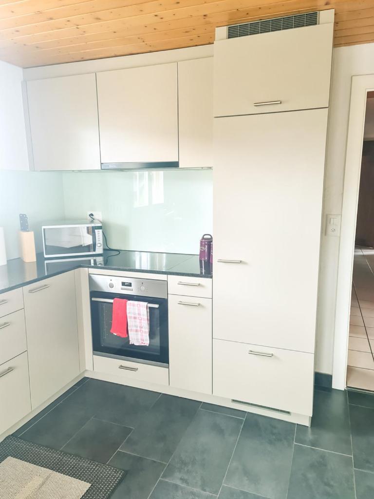 Abendberg Apartment - Aare Jungfrau Ag Wilderswil Zewnętrze zdjęcie