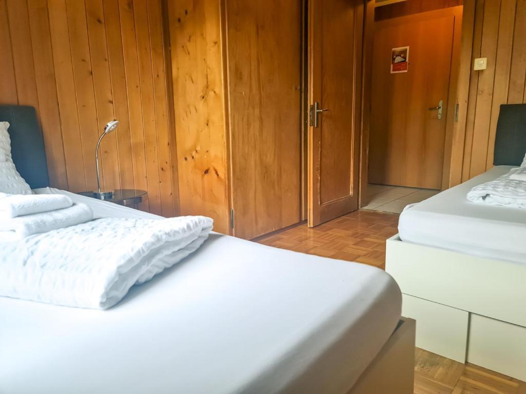 Abendberg Apartment - Aare Jungfrau Ag Wilderswil Zewnętrze zdjęcie
