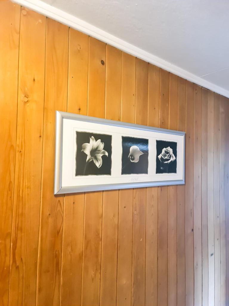 Abendberg Apartment - Aare Jungfrau Ag Wilderswil Zewnętrze zdjęcie